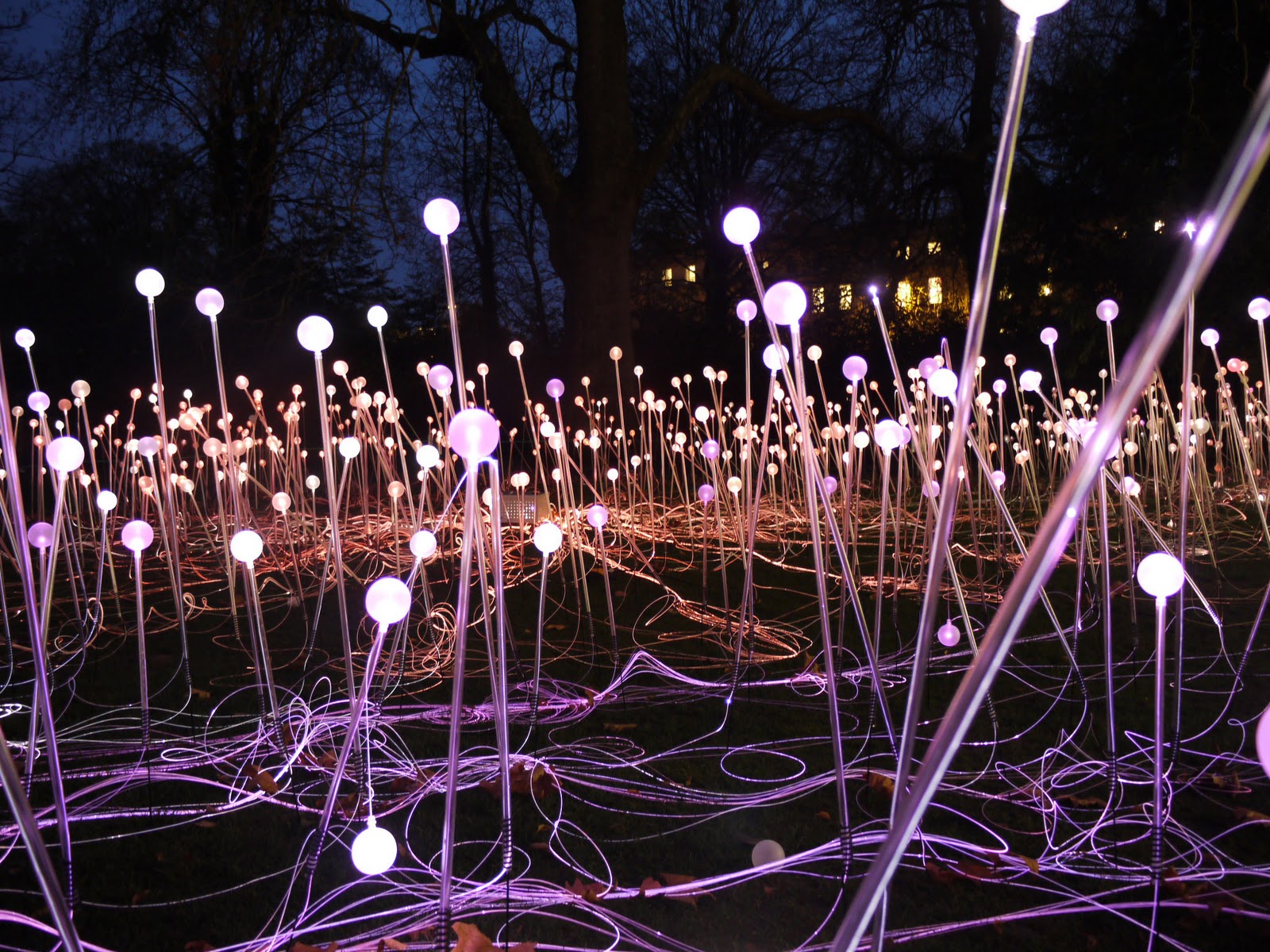 Installation Art by Bruce Munro