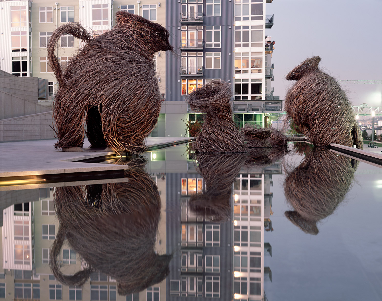 Art Installation by Patrick Dougherty