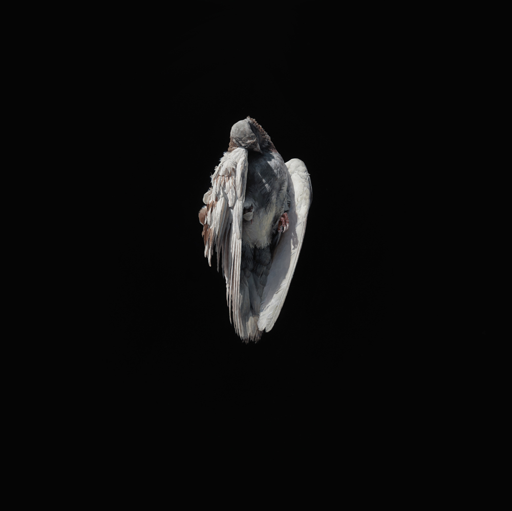 Artwork by Jeremy Geddes