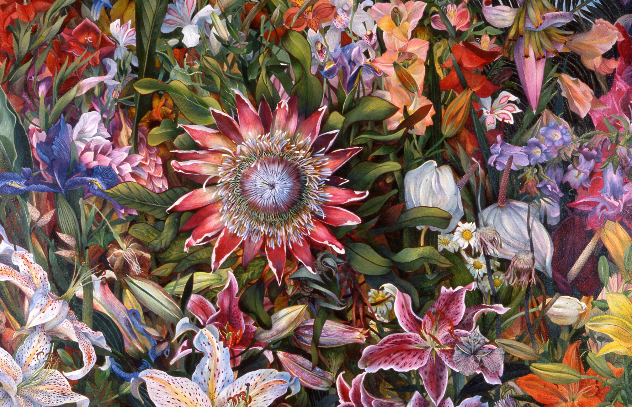 Artwork by Judy Garfin