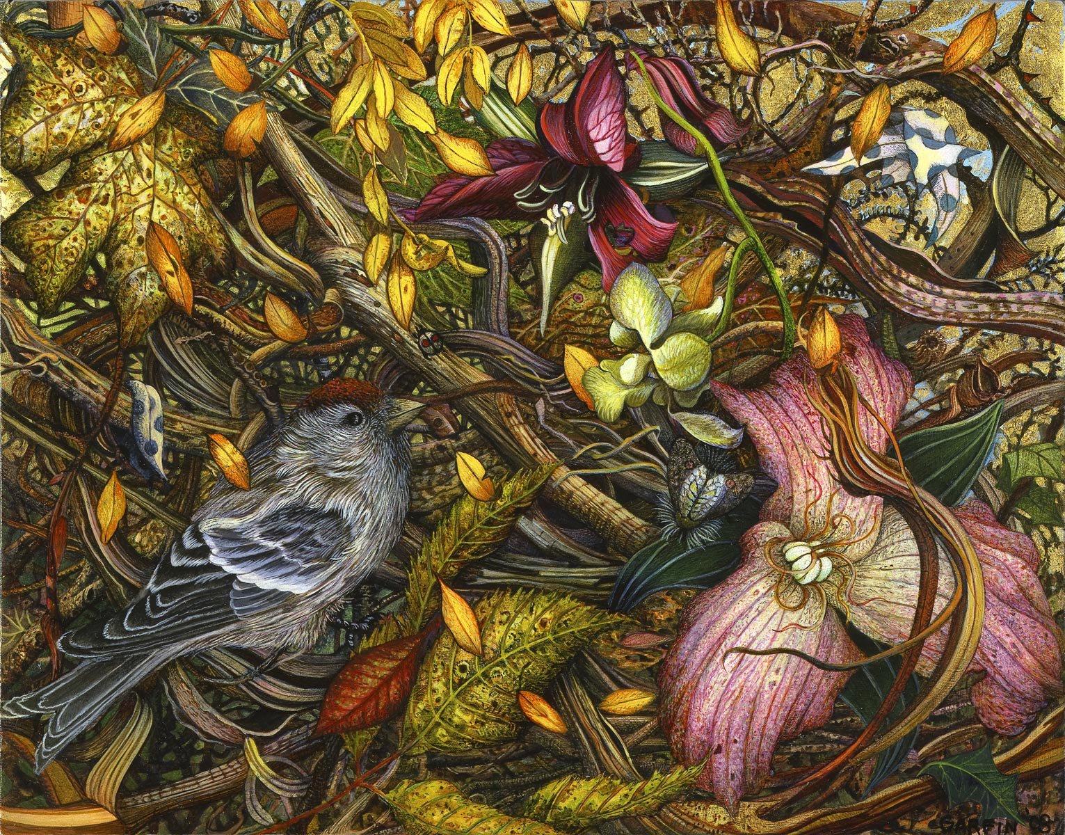 Artwork by Judy Garfin