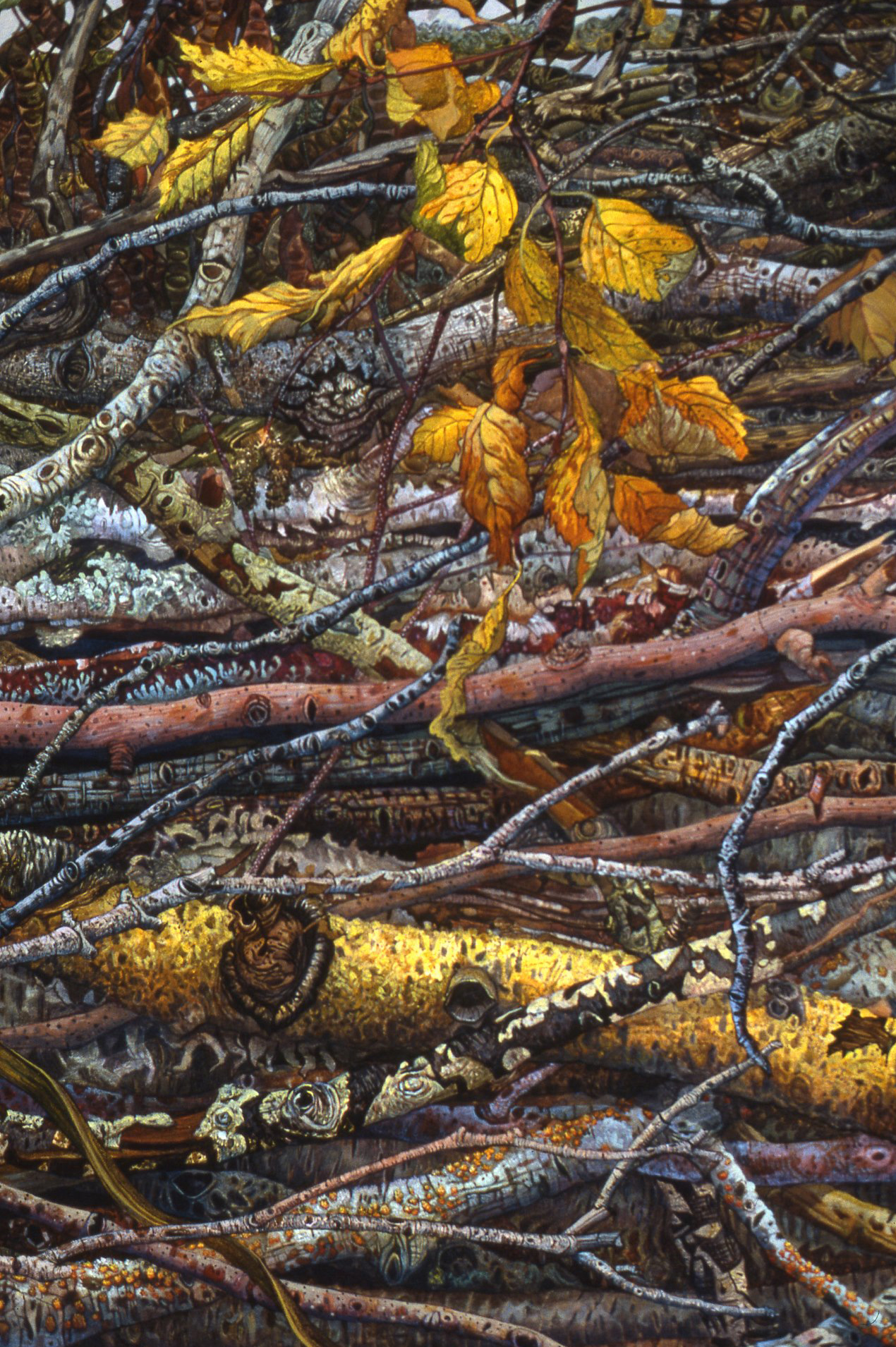 Artwork by Judy Garfin