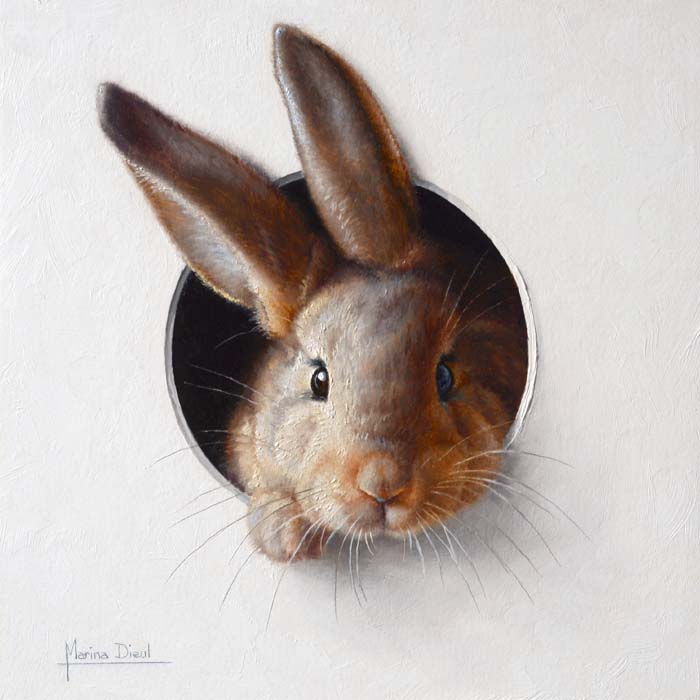 Adorable Animal Portrait by Marina Dieul