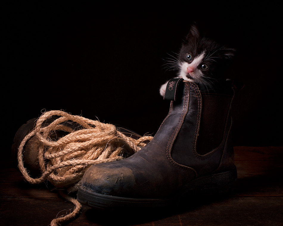 Portrait Photography by Bill Gekas