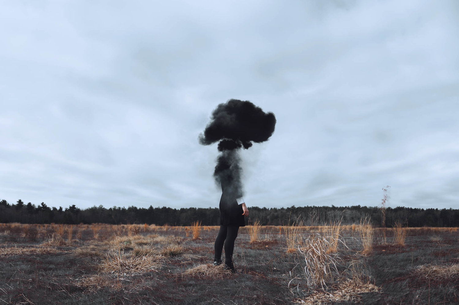 Photography by Lauren Zaknoun