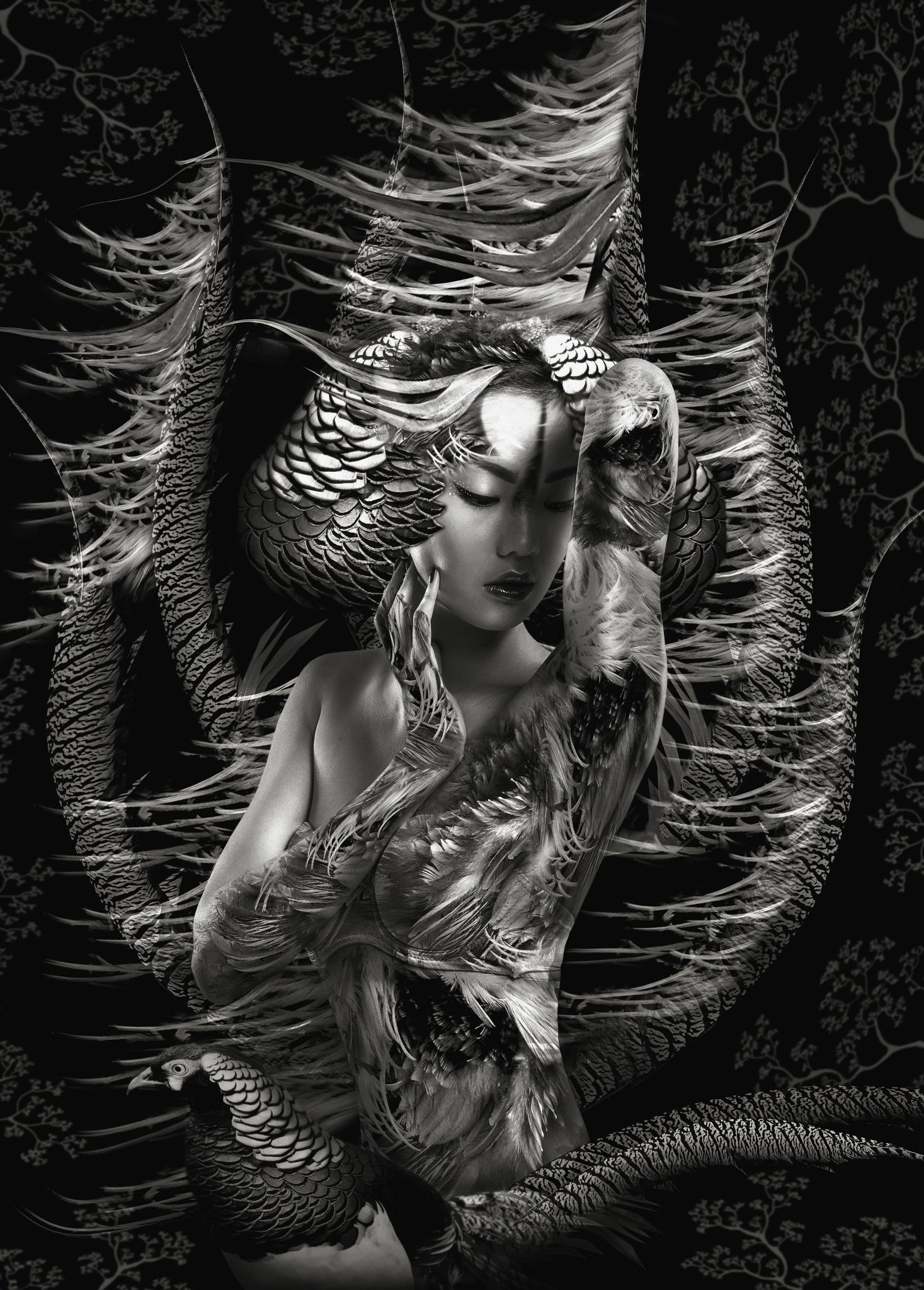 Photography by Lee Howell