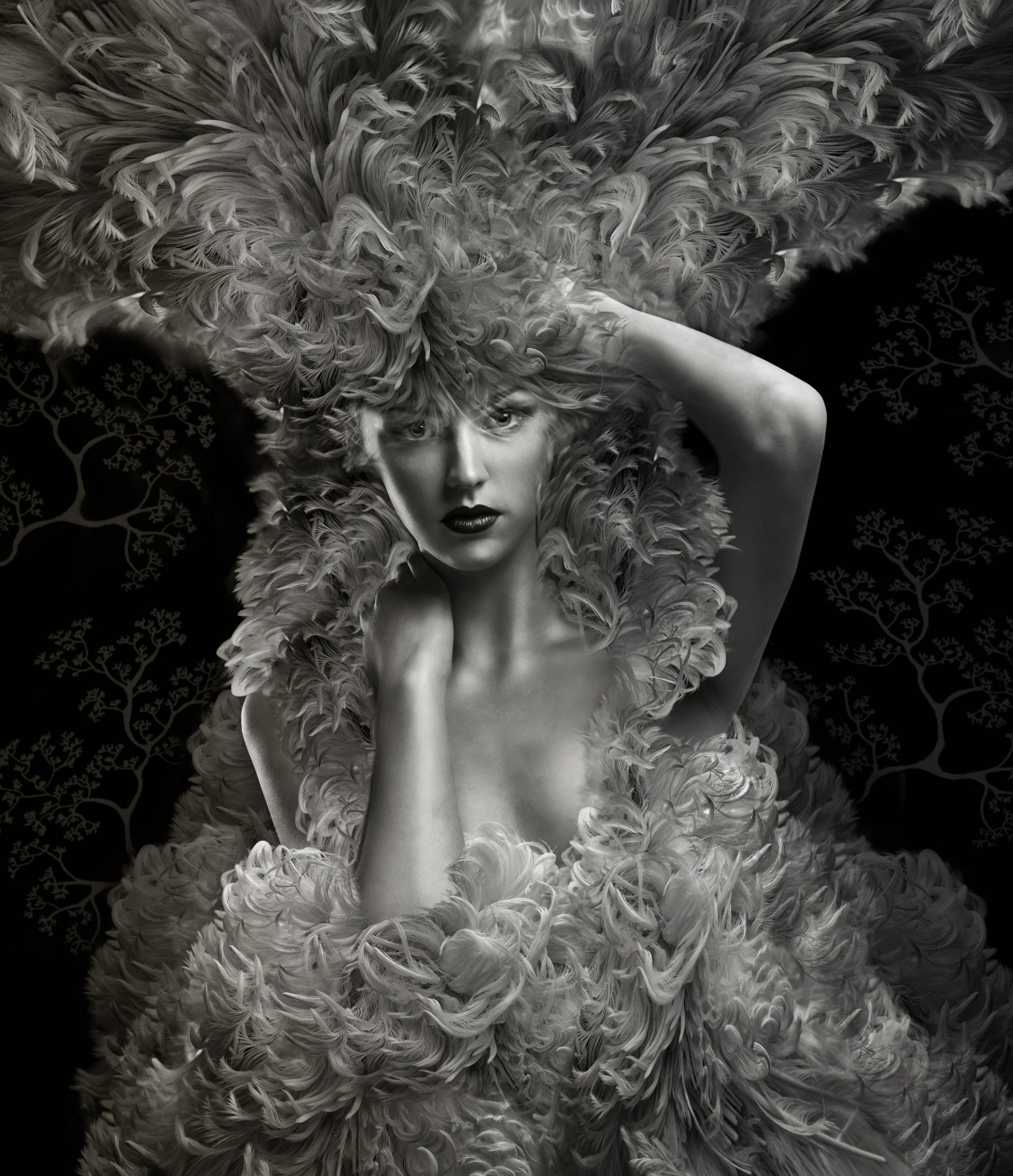 Photography by Lee Howell