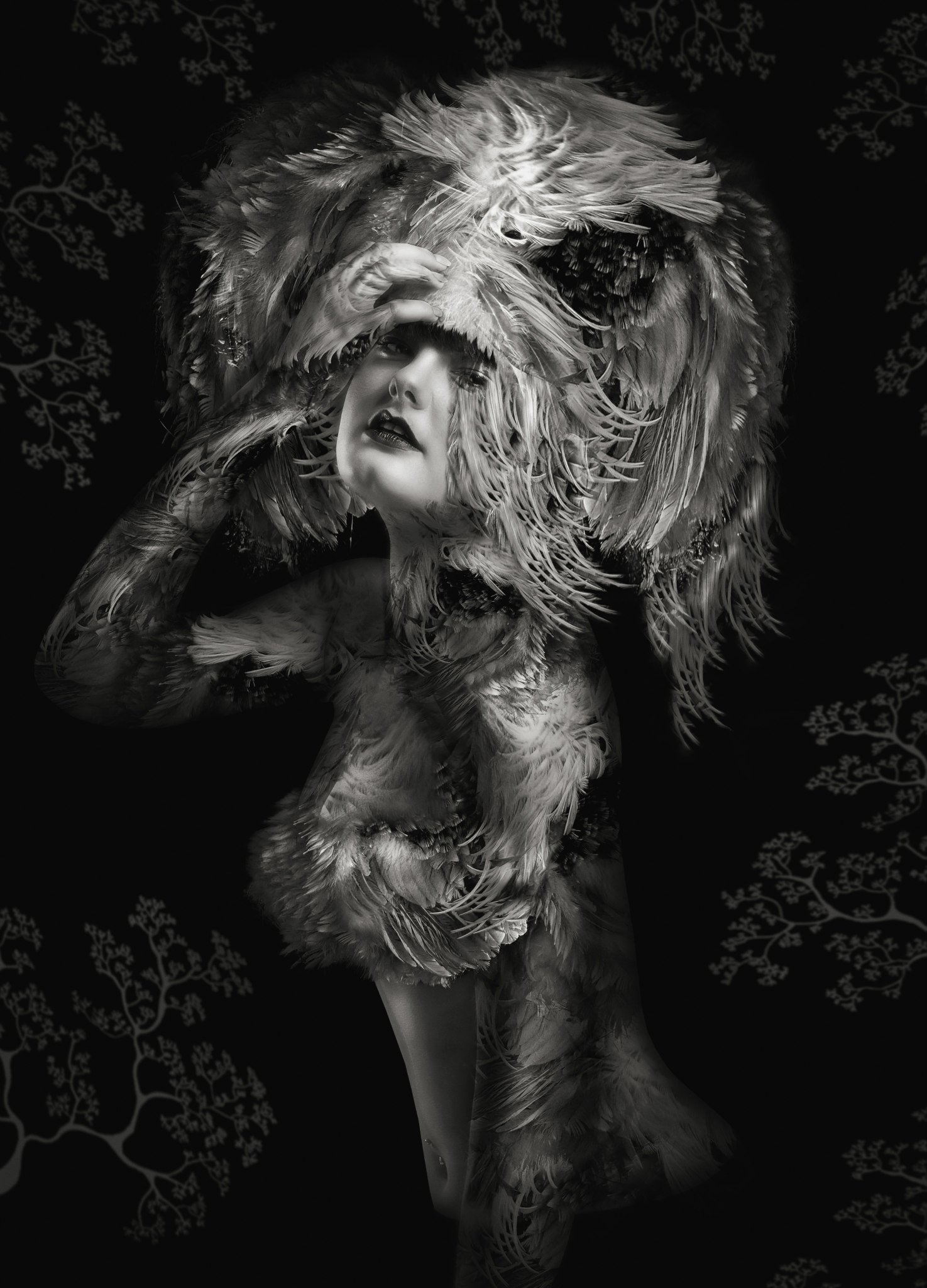 Photography by Lee Howell