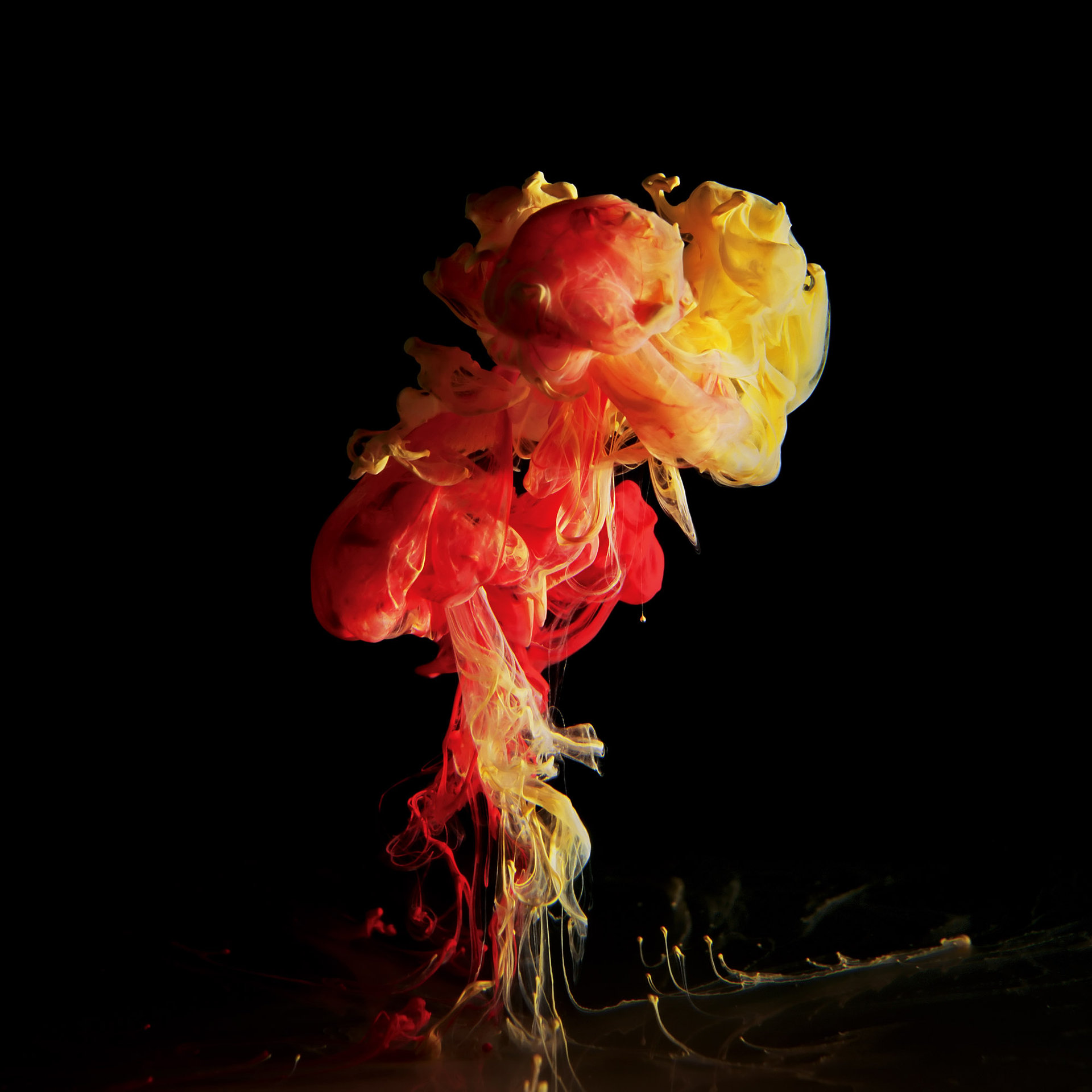 Photography by Mark Mawson