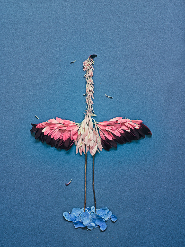 Conceptual Photography by Qi Wei Fong