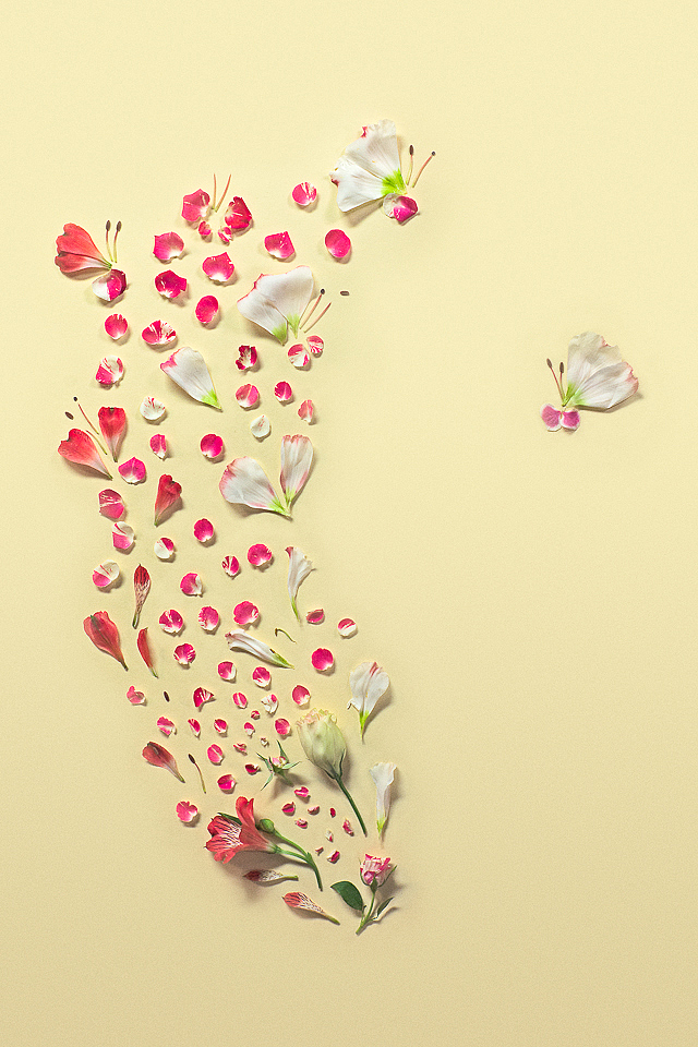 Conceptual Photography by Qi Wei Fong