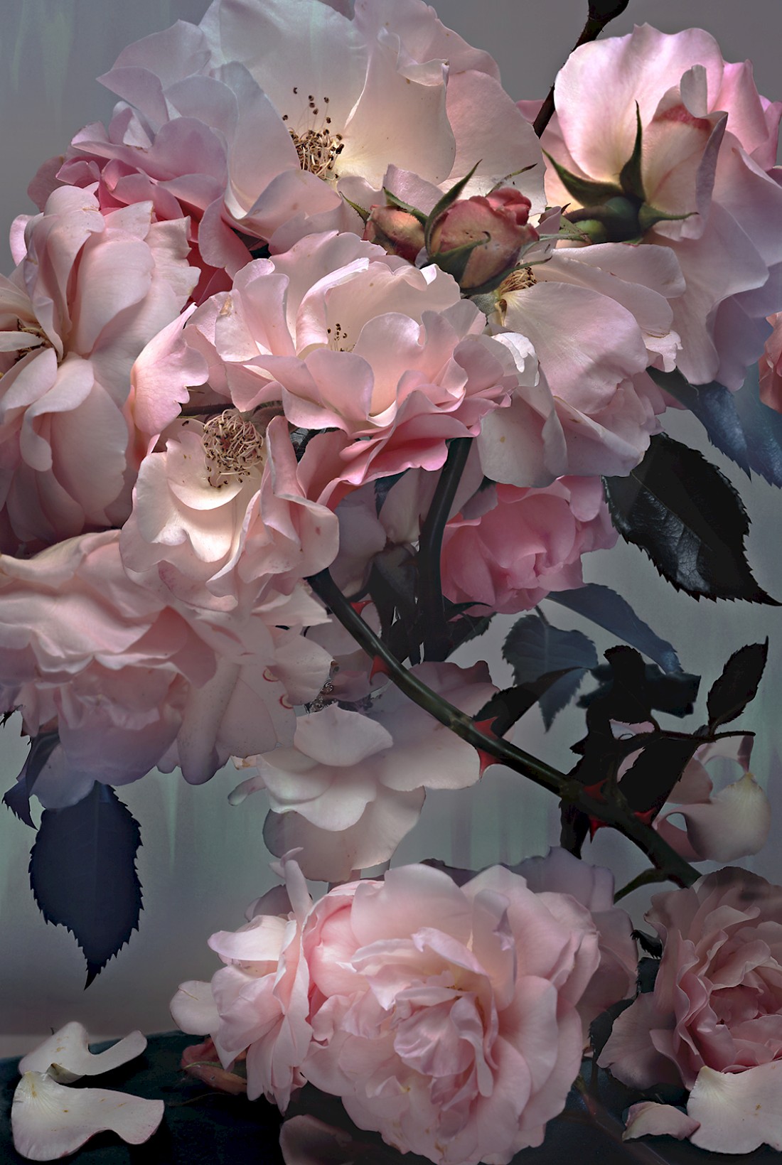 Fashion Photography by Nick Knight