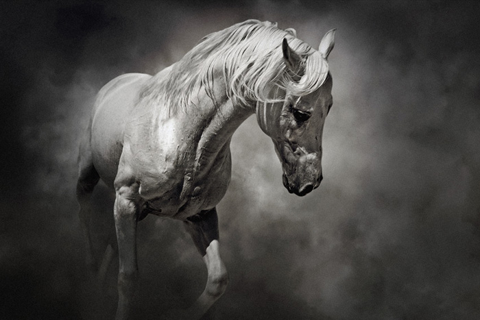 Photography by Dimitar Hristov
