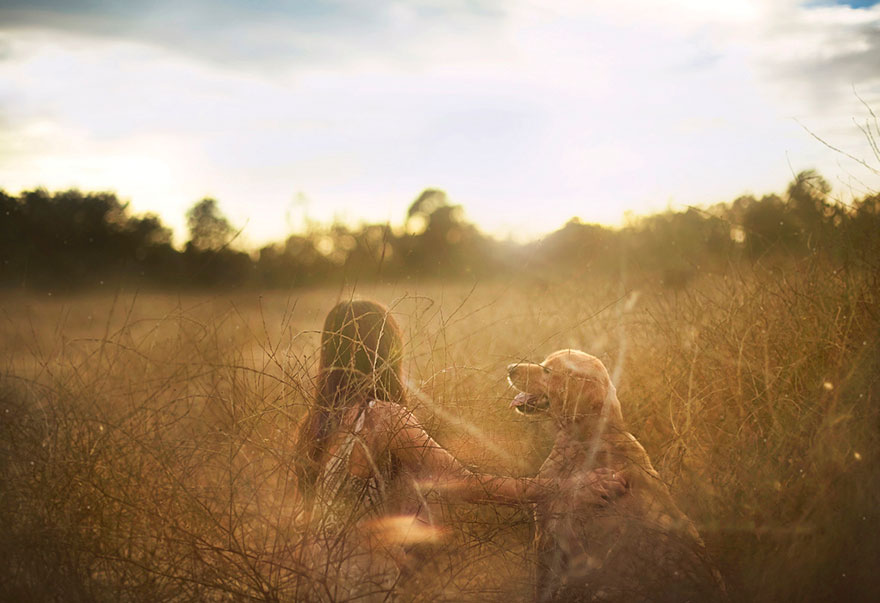 Chuppy The Golden Retriever by Jessica Trinh